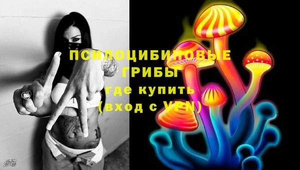 гашик Верхнеуральск