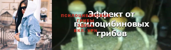 гашик Верхнеуральск