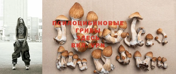 гашик Верхнеуральск