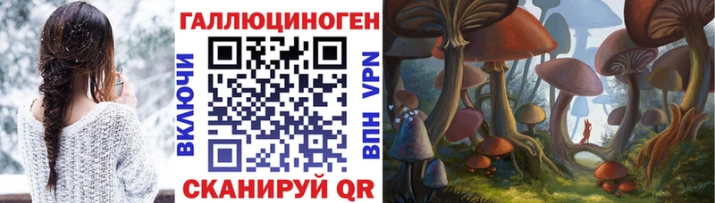 Купить закладки  Лабытнанги  Галлюциногенные грибы прущие грибы 